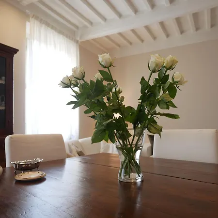 Apartment Vissi D'arte